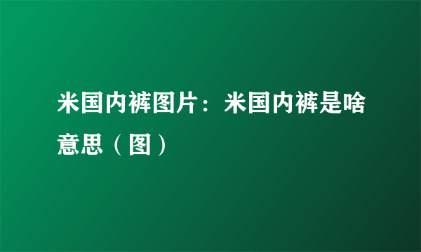 米国内裤图片：米国内裤是啥意思（图）