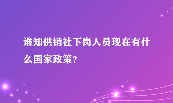 谁知供销社下岗人员现在有什么国家政策？