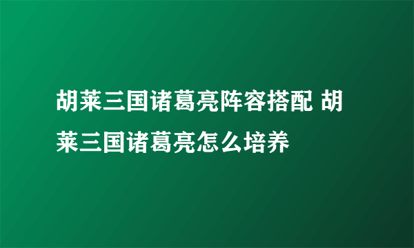 胡莱三国诸葛亮阵容搭配 胡莱三国诸葛亮怎么培养