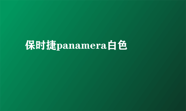 保时捷panamera白色