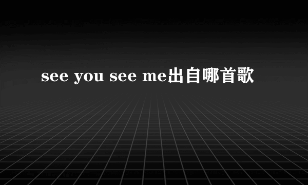 see you see me出自哪首歌