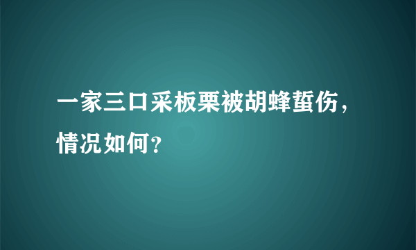 一家三口采板栗被胡蜂蜇伤，情况如何？