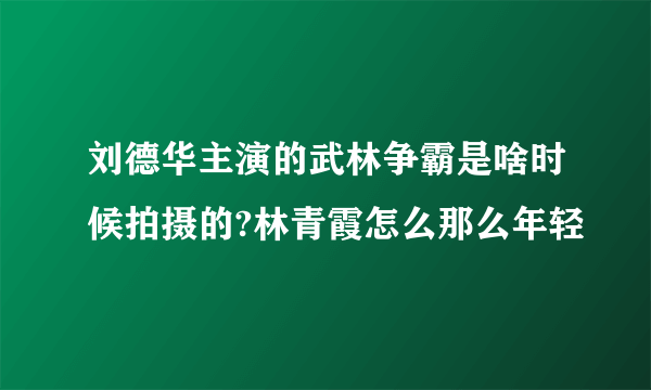 刘德华主演的武林争霸是啥时候拍摄的?林青霞怎么那么年轻