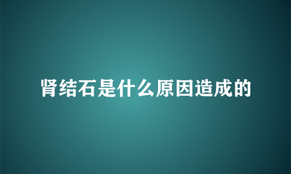 肾结石是什么原因造成的