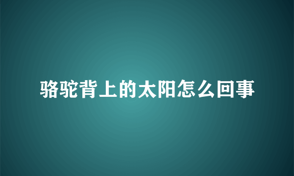 骆驼背上的太阳怎么回事