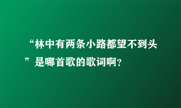 “林中有两条小路都望不到头”是哪首歌的歌词啊？