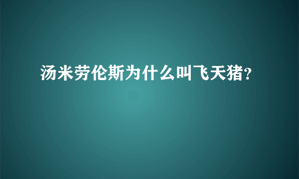 汤米劳伦斯为什么叫飞天猪？