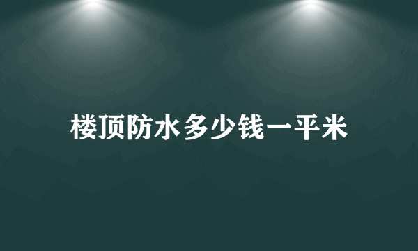 楼顶防水多少钱一平米