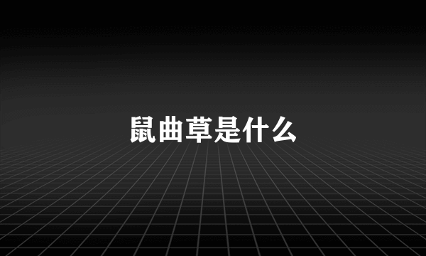 鼠曲草是什么