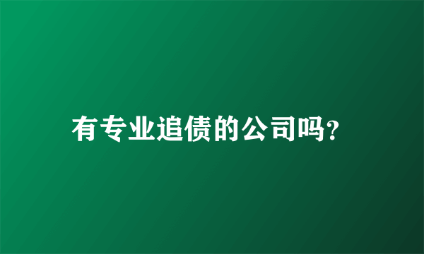 有专业追债的公司吗？