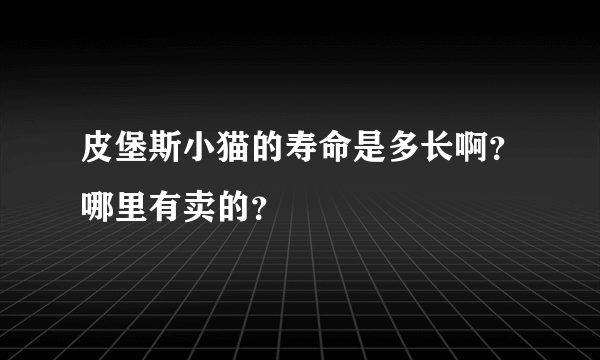 皮堡斯小猫的寿命是多长啊？哪里有卖的？