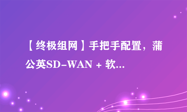 【终极组网】手把手配置，蒲公英SD-WAN + 软路由，能想到的一切需求全解决。