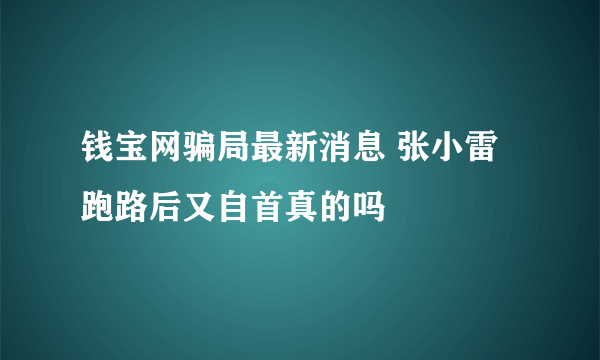 钱宝网骗局最新消息 张小雷跑路后又自首真的吗