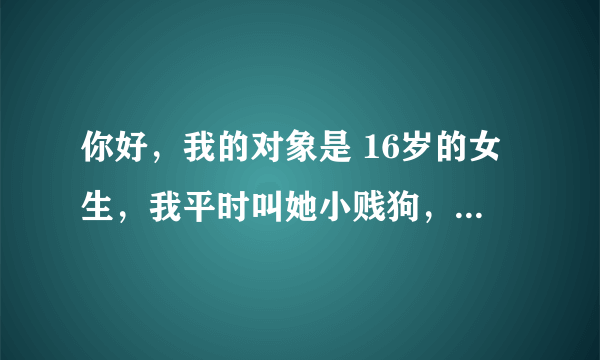 你好，我的对象是 16岁的女生，我平时叫她小贱狗，小母狗，这种违法吗