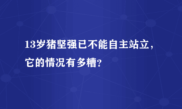 13岁猪坚强已不能自主站立，它的情况有多糟？