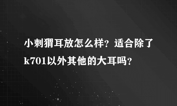 小刺猬耳放怎么样？适合除了k701以外其他的大耳吗？