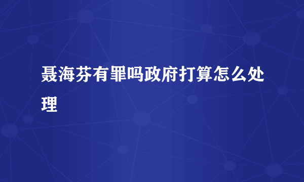 聂海芬有罪吗政府打算怎么处理