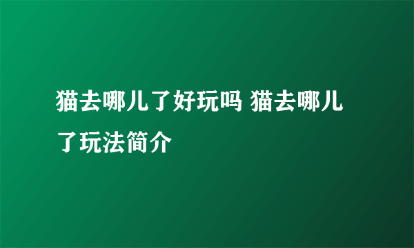 猫去哪儿了好玩吗 猫去哪儿了玩法简介