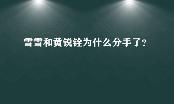 雪雪和黄锐铨为什么分手了？