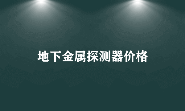 地下金属探测器价格