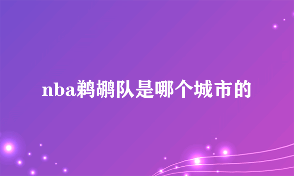 nba鹈鹕队是哪个城市的