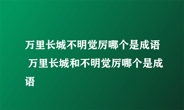 万里长城不明觉厉哪个是成语 万里长城和不明觉厉哪个是成语