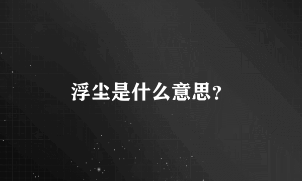 浮尘是什么意思？