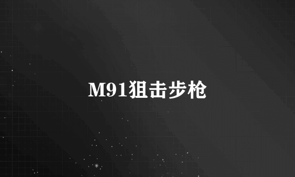 M91狙击步枪