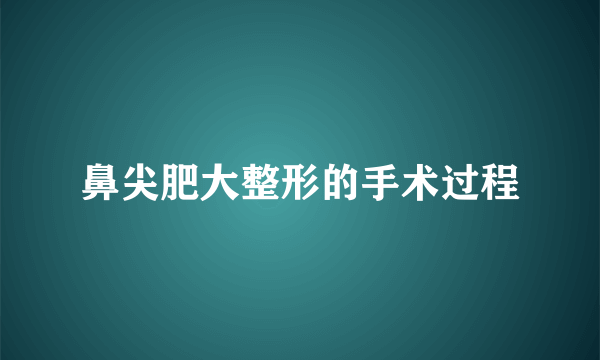 鼻尖肥大整形的手术过程