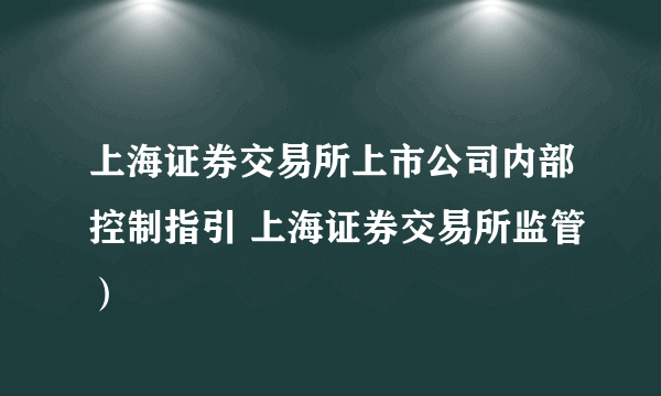 上海证券交易所上市公司内部控制指引 上海证券交易所监管）