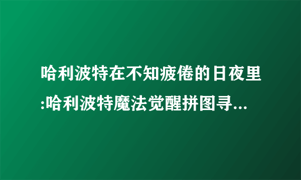 哈利波特在不知疲倦的日夜里:哈利波特魔法觉醒拼图寻宝930坐标