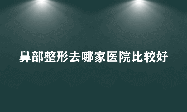 鼻部整形去哪家医院比较好