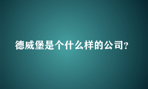 德威堡是个什么样的公司？