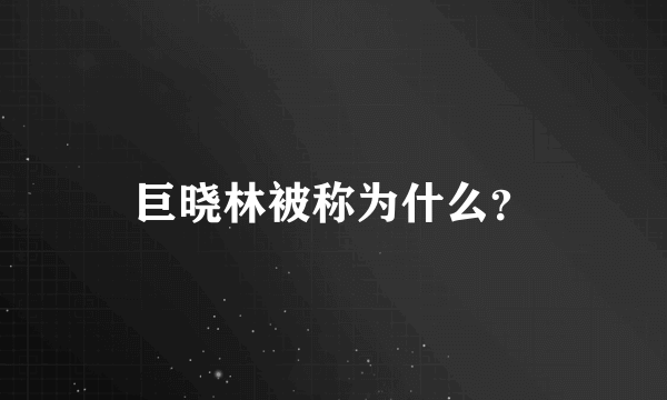 巨晓林被称为什么？