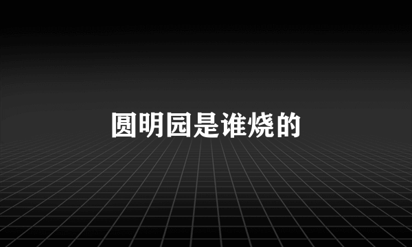 圆明园是谁烧的