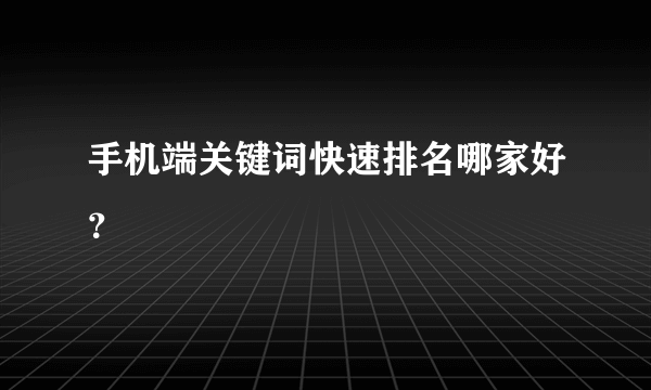 手机端关键词快速排名哪家好？