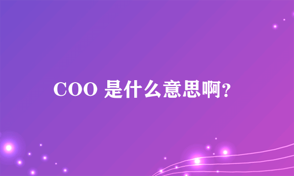 COO 是什么意思啊？