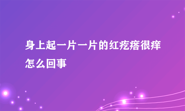 身上起一片一片的红疙瘩很痒怎么回事