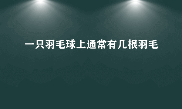 一只羽毛球上通常有几根羽毛