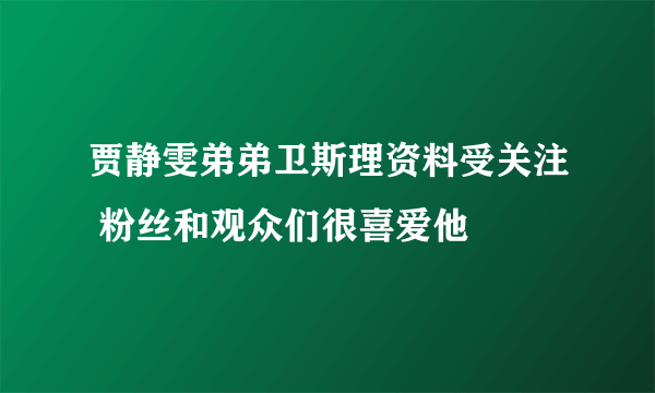 贾静雯弟弟卫斯理资料受关注 粉丝和观众们很喜爱他