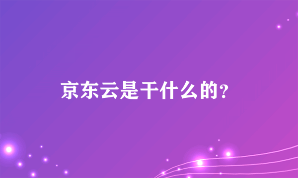 京东云是干什么的？