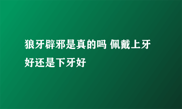 狼牙辟邪是真的吗 佩戴上牙好还是下牙好