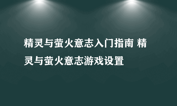 精灵与萤火意志入门指南 精灵与萤火意志游戏设置