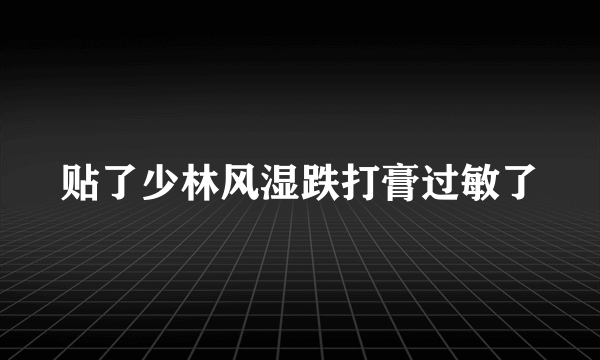 贴了少林风湿跌打膏过敏了