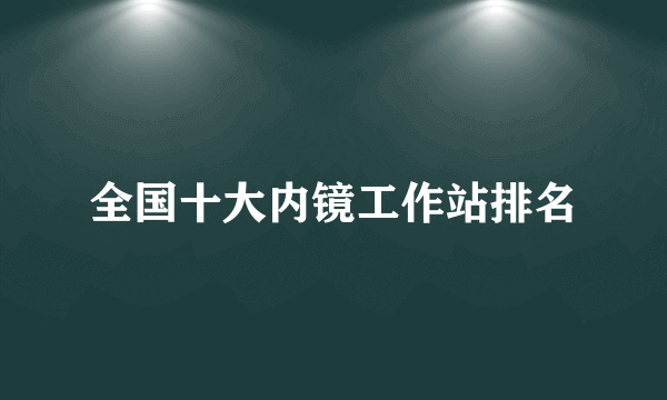 全国十大内镜工作站排名