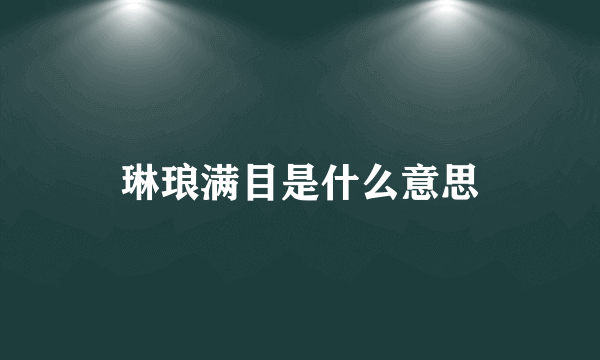 琳琅满目是什么意思