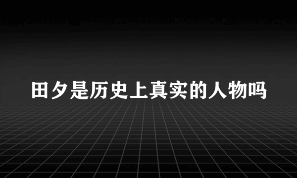 田夕是历史上真实的人物吗