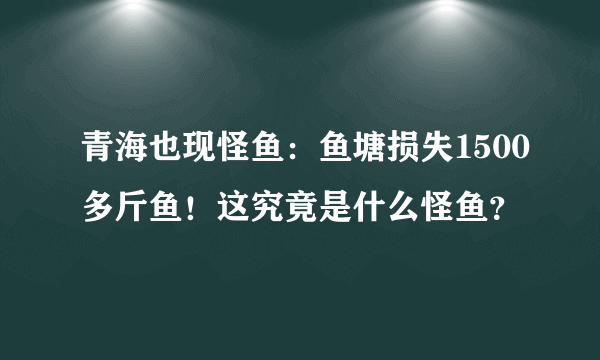 青海也现怪鱼：鱼塘损失1500多斤鱼！这究竟是什么怪鱼？