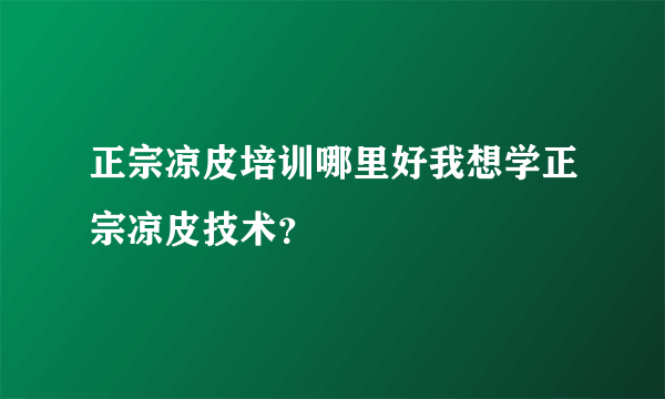 正宗凉皮培训哪里好我想学正宗凉皮技术？