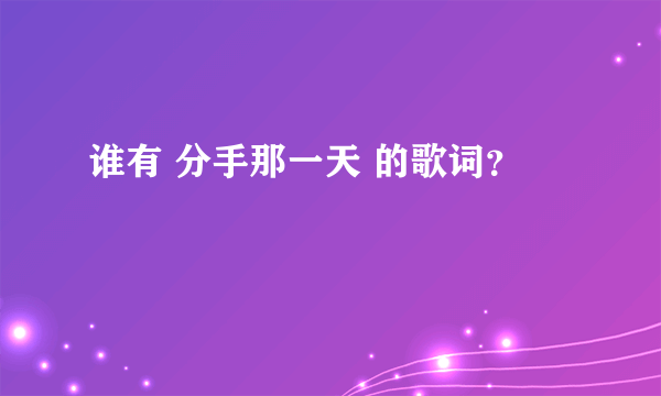 谁有 分手那一天 的歌词？